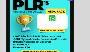 CURSOS PLR EM VÍDEO + Landing Pages